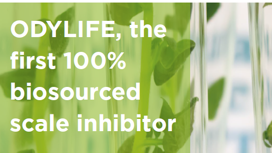 odyssee environnement uncategorized odylife 16 9 leftcrop 190